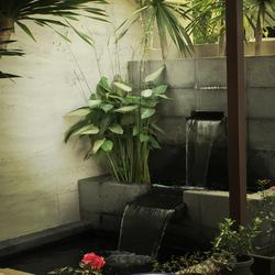 Pavilion Park (D23), Terrace #121599142